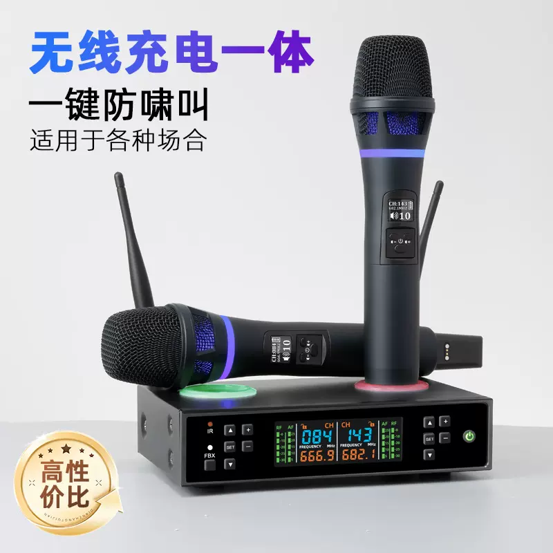 朗声工厂批发专业无线麦克风充电式一体接收机防啸叫演出家用话筒