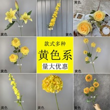 ��c���滨�Sɫϵ���� �Ƶ�F�����û�Y�û��Ų廨·���������