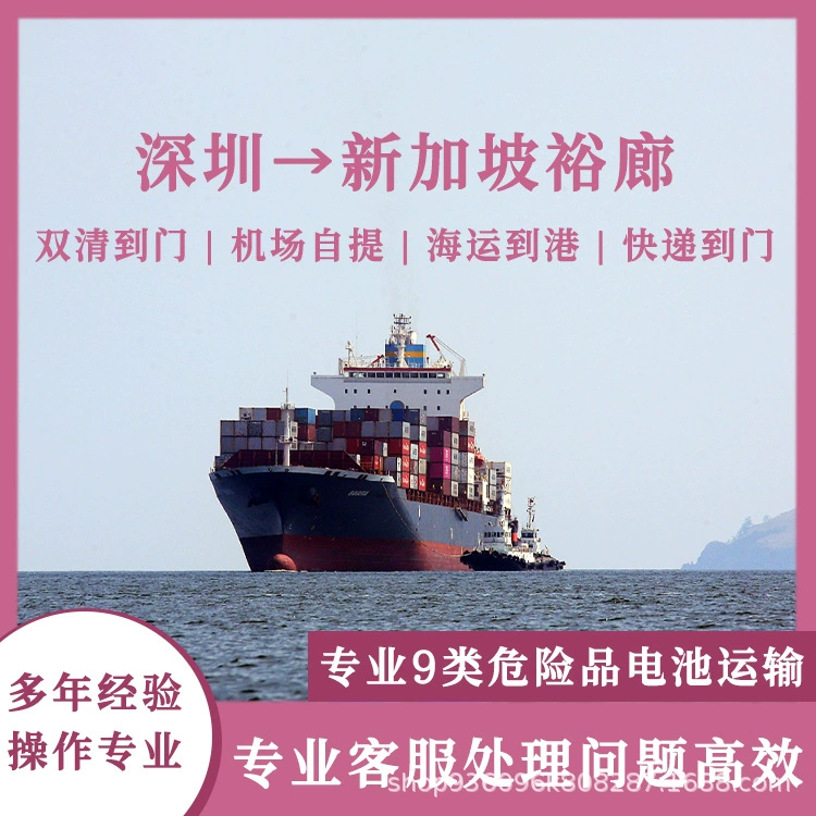 Три юаня литиевые батареи Шэньчжэнь в Сингапур Jurong Air Shipping с налогом двойной очистки до двери CIF/DDP