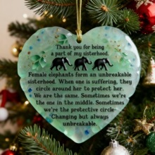 ����ѷ����������Գ����� Sisterhood Ornament��������������