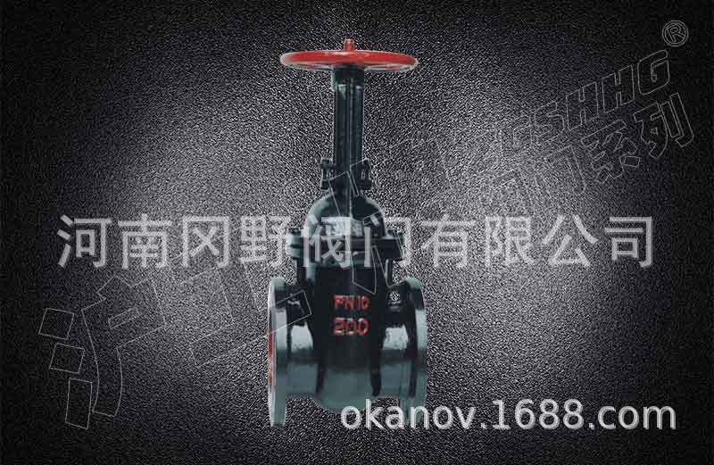 明杆闸阀/法兰明杆闸阀/铜芯闸阀/Z41T
