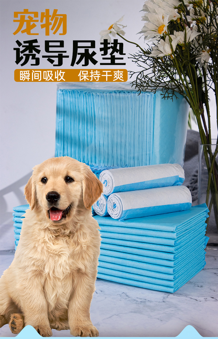 第五套宠物尿垫详情页_01.jpg