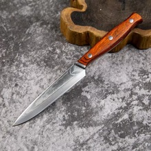 67层大马士革钢牛排刀VG10锻打水果刀出口余单多用刀5寸万用果刀