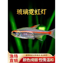 �t�����~�����޺���������t��ܟ����~�^�p�~��ˮ�ݸ�Ⱥ�λ��w�~