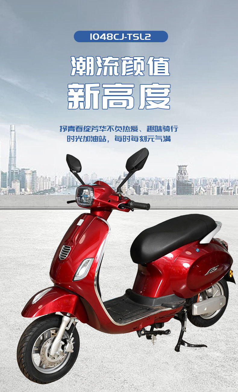 Foreign Trade Export Electric Vehicle Tsl2 Electric Motorcycle High-Speed Long-Range Battery Vehicle New Model Two-Wheeled Scooter Electric Vehicle