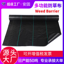 防草布加厚防老化厂家直销除草布遮草布批发果园透水防草地布地膜