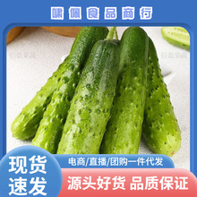 ����ͷ�綫�����ƹϴ̻ƹ�С������ɿ�ũ��ζ����ժ5������