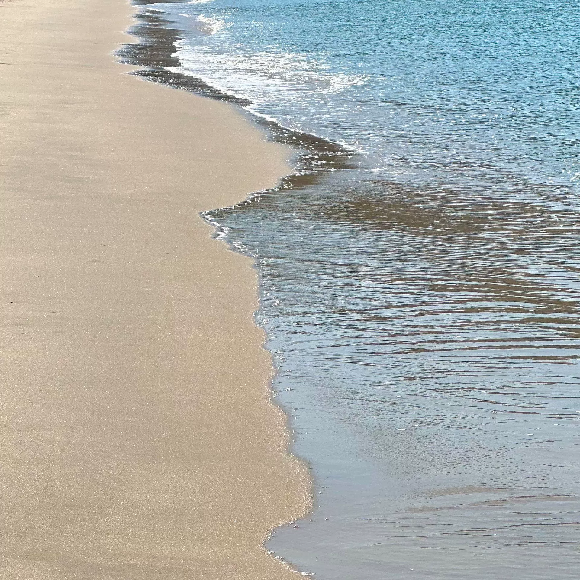 Xiao Fei Ba отправляет ссылку для обслуживания клиентов