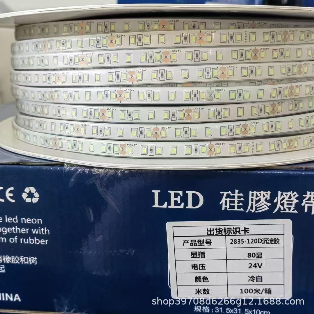 12V / 24V LED de bajo voltaje sólido silicona lámpara IP68 impermeable piscina submarina al aire libre 220V sin conducción image 5