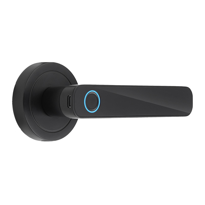 Graffiti de comercio electrónico transfronterizo inteligente antirrobo cerradura de la puerta interior puerta manija huella digital contraseña cerradura apartamento cerradura electrónica