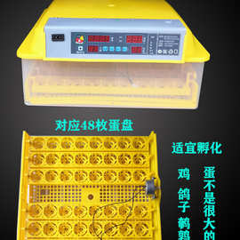 电抱鸡机器小鸡育苗孵化器鹅蛋浮蛋机抱蛋神器斗鸡鸡蛋保温箱