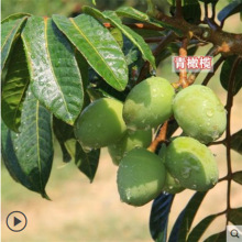 �ڙ��˹�ˇ�ϙ������ϙ�������޽Ӟ����ϱ����N���ϙ����