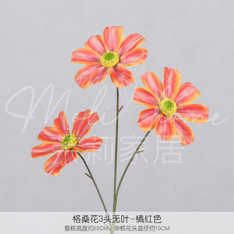 오렌지 레드 3#-잎이 없는 3개의 콜산 꽃
