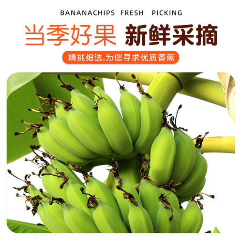 Bulk wholesale banana chips, non-fried, naturally air-dried, healthy snack fruit, 500g banana slices, dropshipping per piece