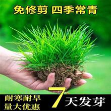 ��ƺ�����o�¹��������~���ļ�����ͥԺ��̺��Ƥ�G�������ݷN����