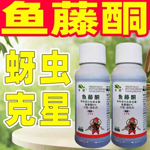 6%�~��ͪ���x���ó��x�� �ؗ� ���{���x���Ǹ��{����rș�F؛���l
