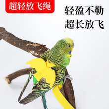 �B���W�^�������w�K���P��Ƥĵ���w������������B������Ʒ���