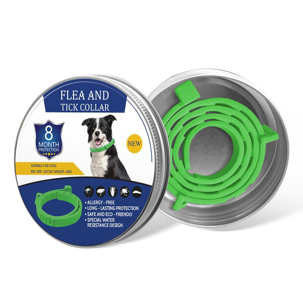 녹색 강아지 디자인 선물 세트