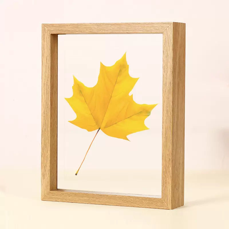 工厂批发摆台木质相框木制植物标本相框双面透明玻璃装饰画框