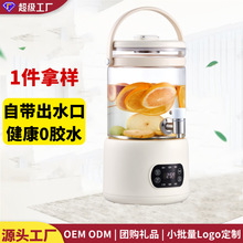 养生壶家用壶体无胶水电热烧水壶带水龙头3升煮茶器花茶桶轻定制