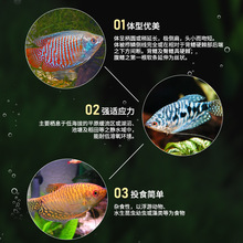 �����~�Ꭷ�^�p�~���~��ˮС���~���R�����~���B�ͻ���������~