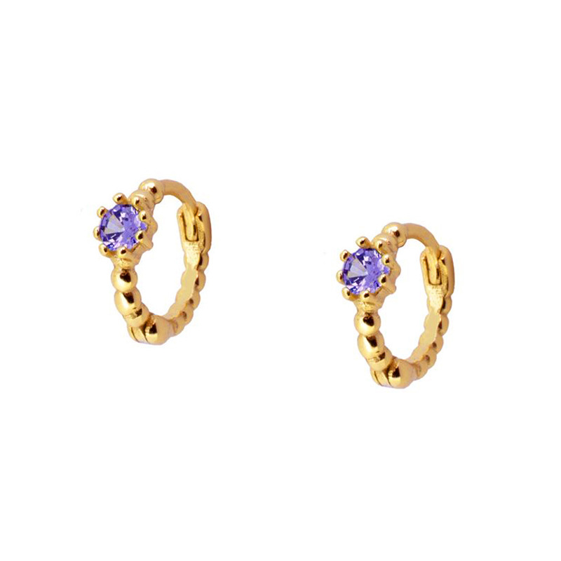 Foreign Trade European And American C-shaped Earrings Purple Zircon Earrings S925 Silver Needle Earrings Set display picture 9