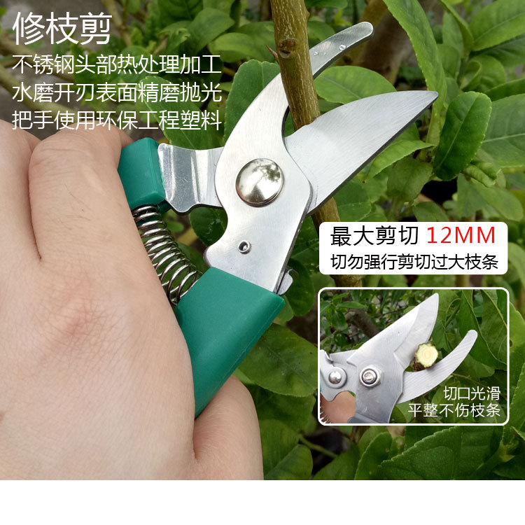 墨绿十二件套01_07