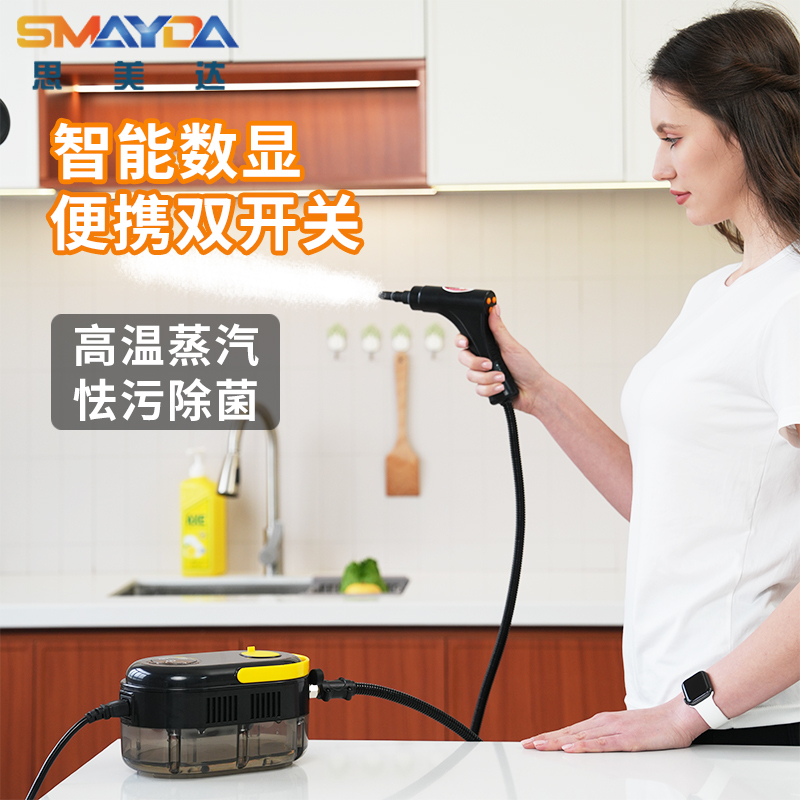 Portable Steam Cleaner, High Temperature and High Pressure, Multi-Functional Household Cleaning Machine, Air Conditioner, Kitchen Disinfection and Oil Removal Tool Portable Steam Cleaner, High Temperature and High Pressure, Multi-Functional Household Cleaning Machine, Air Conditioner, Kitchen Disinfection and Oil Removal Tool
