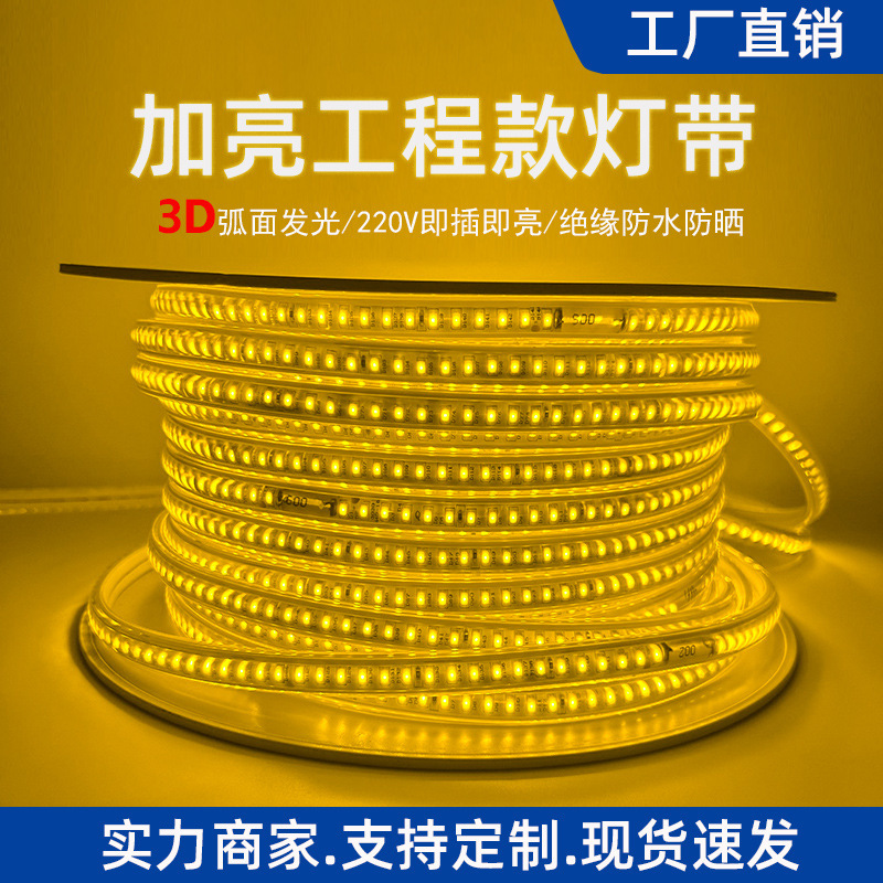 220V Led Strip Light for Ceiling, Hidden Light Line Lights, Outdoor Rainproof Lighting Project, Ultra-Bright High-Voltage Flexible Light Strip