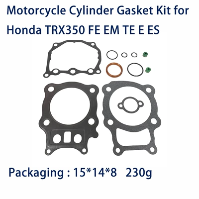 Motorcycle Engine Overhaul Cylinder and parts