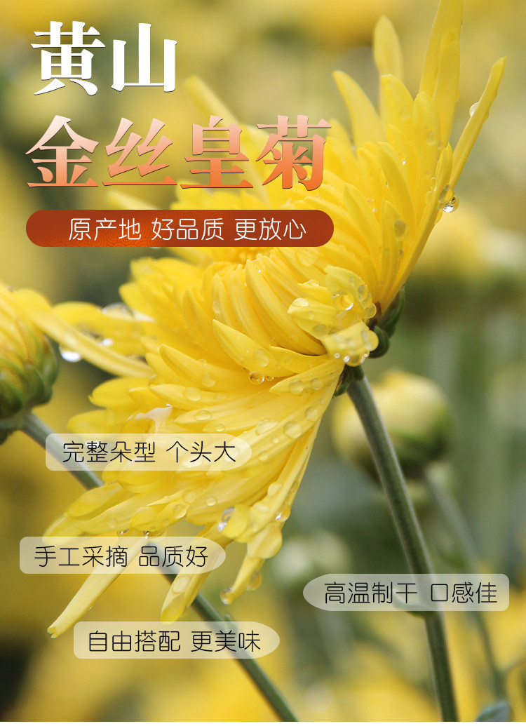 Dried Chrysanthemum Tea Golden Silk Imperial Chrysanthemum Whole Flower Loose Herbal Tea 500g key features