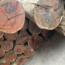 t̴ 㻨ľ 㻨 ͢t̴ С黨