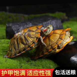 �������������С�������w�^�p�����������ˮ���t����������H��