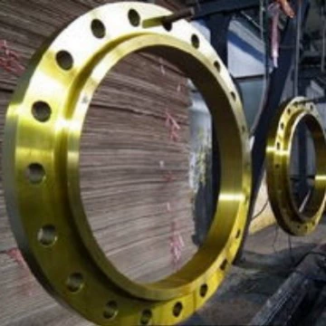 Фланец из углеродистой стали плоский приварной с выступом высокий воротник