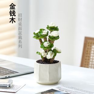 Money Tree Potted Plant for Indoor Use, Easy to Care for All Seasons, Succulent Plant with Old Stump, Suitable for Living Room Greenery or Office Desktop Decoration