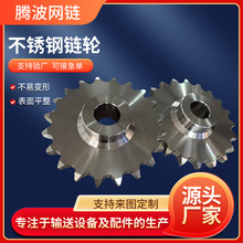 304不锈钢传动链轮非标定做单双排工业齿轮双节距输送机机械链轮