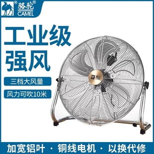 LȴʹILȹS̨ʽſ늙C