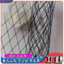 ��Ŀ�W��̨���W���δ��۾W��������^���Ʒ�������l�F������