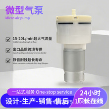 工厂批发定制按摩仪真空包装散雾器美容仪专用555大流量微型气泵