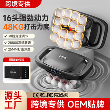 ����ѷTK����羳��ͷ��ĤǹDeep Tissue Massager with 16 Head