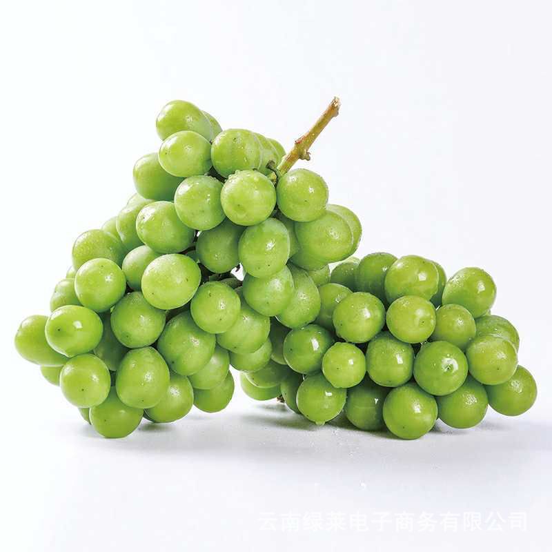 Sunshine Rose grape Season fresh fruit Fragrant and sweet Seedless Qing 3 Full container One piece On behalf of