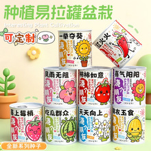 ��һ��ͯ���Y�������������҃���������С�Gֲ�W�t���^�^��С����