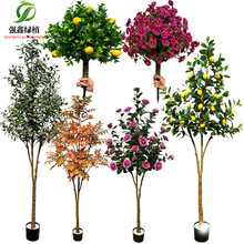 �羳����Gֲ�[���ϙ��ٻ����컨 �ز�軨����� ������������