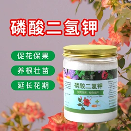 栽培基质;猫砂;造景石