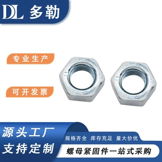热浸镀锌 10mm x 1.25  螺母 六角螺母插入件