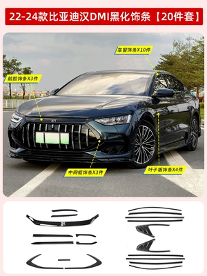 Han dmi Black Samurai Appearance: Automobile anti-insect net - 22-24-han-ddmi-blackening-kit-20-piece-set