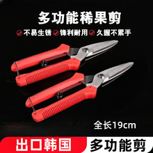 늹������h�����~�����FƤ���I�ø�Ӳ�Ȳ��P���֦���ò�ժ����