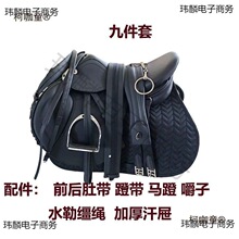 �C���R��ȫ��Ӣʽ�R�g�̌W�ο�Ұ�T���w�p�ǎ��ϵK�̾����R��̫��