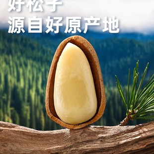 �_�����Ӗ|�����bѦӛ��؛���w���ׄ���؛������ʈԹ���ʳ