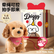 �W�t�¿���ë�q���ܽ�ë���ﹷ���ָБ����S���^���Ƀ�ͯ�����